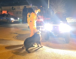 Noc, na drodze widać oznakowany policyjny i strażacki radiowóz, strażak-kobieta na smyczy trzyma psa.